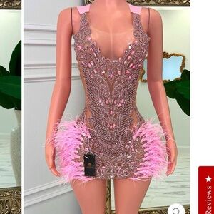 Elegant Pink Feather Embellished Dress